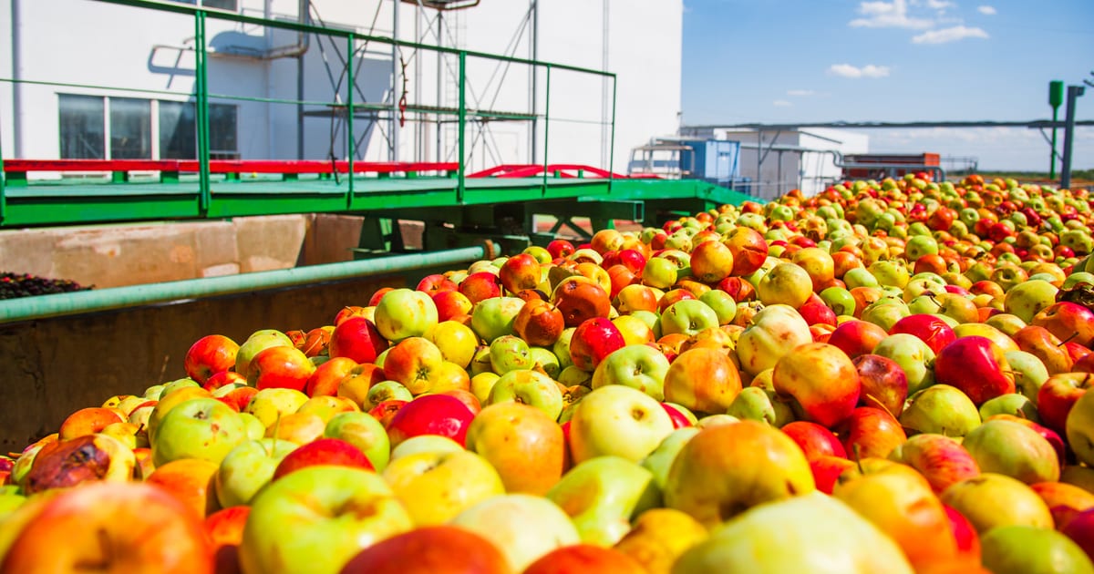 Imagen del artículo: Software para agroindustria en Chile: guía práctica