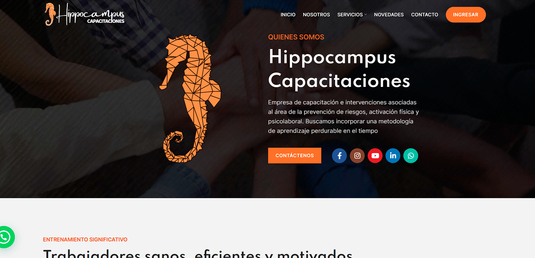 Hippocampus capacitaciones