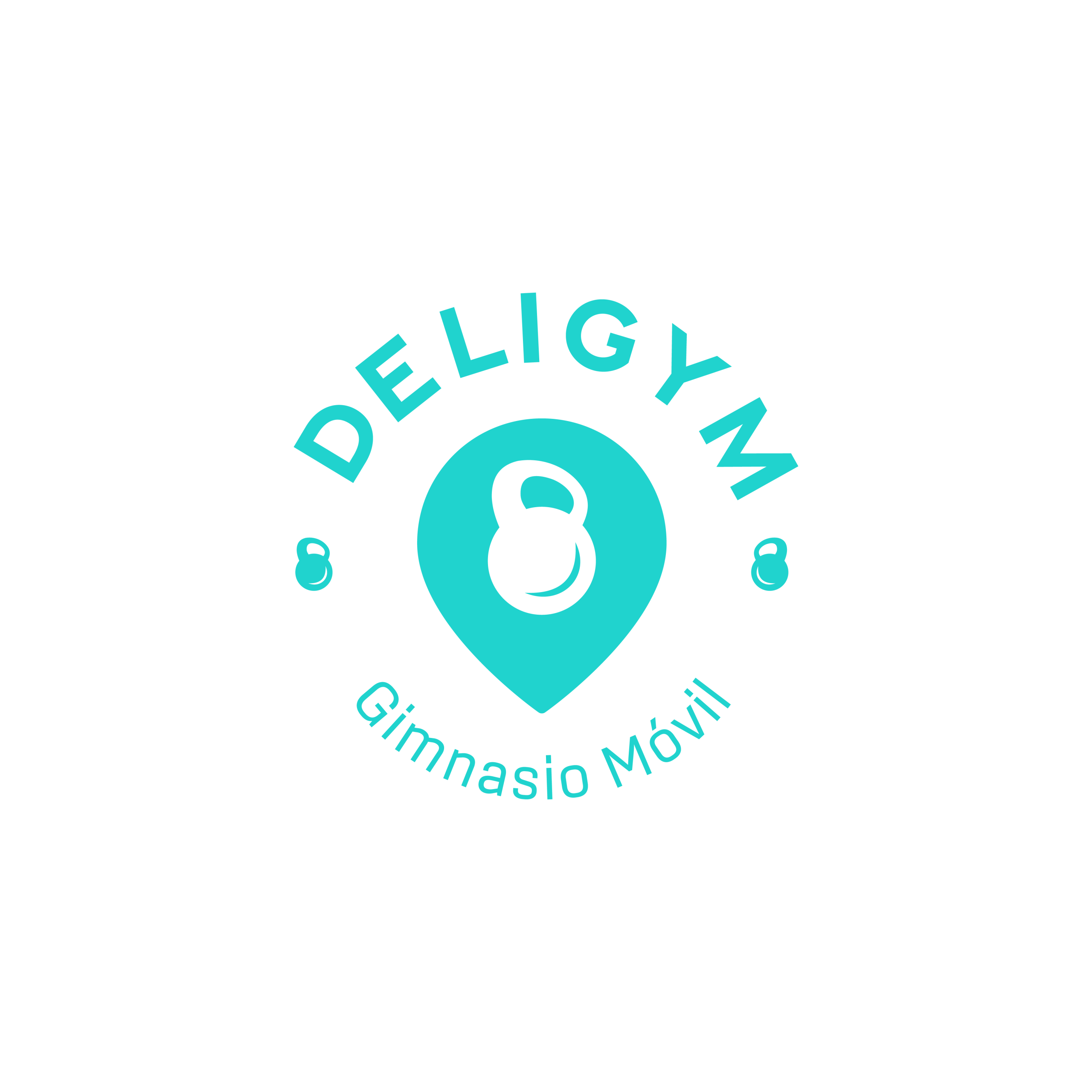 delygym